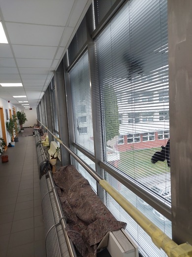 Protipožární nátěr ocelové konstrukce