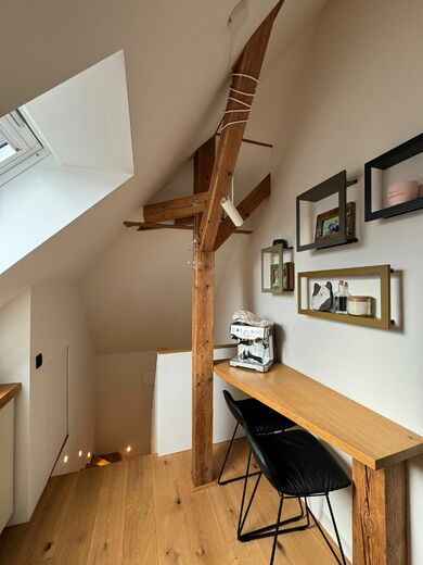 Protipožární nátěry - půdní vestavba