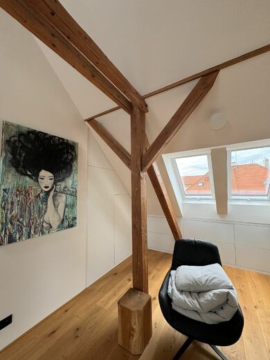 protipožární nátěry - půdní vestavba