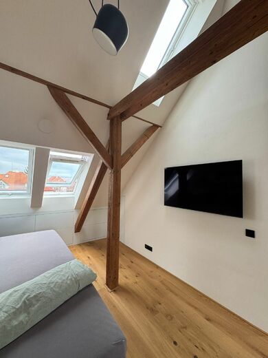 protipožární nátěry - půdní vestavba