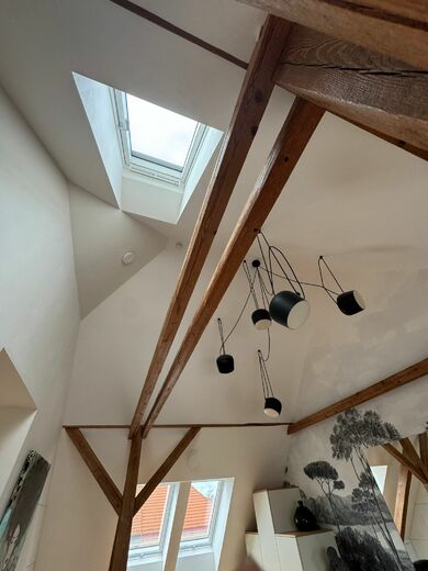 protipožární nátěry - půdní vestavba